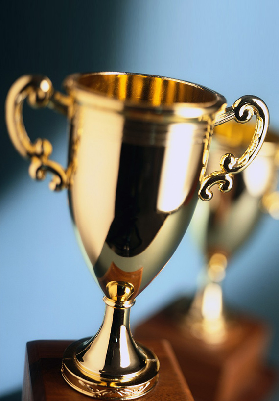 Yancheng Yanitiger Auto Parts Co., Ltd.